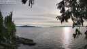 ./images/koeye/fitz-hugh/20250807/fitz-hugh20250807_190508M.jpg