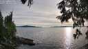 ./images/koeye/fitz-hugh/20250807/fitz-hugh20250807_191008M.jpg