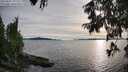 ./images/koeye/fitz-hugh/20250807/fitz-hugh20250807_191509M.jpg
