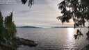 ./images/koeye/fitz-hugh/20250807/fitz-hugh20250807_192010M.jpg