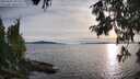 ./images/koeye/fitz-hugh/20250807/fitz-hugh20250807_192508M.jpg