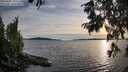 ./images/koeye/fitz-hugh/20250807/fitz-hugh20250807_193509M.jpg