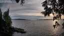 ./images/koeye/fitz-hugh/20250807/fitz-hugh20250807_200009M.jpg