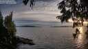./images/koeye/fitz-hugh/20250807/fitz-hugh20250807_202509M.jpg