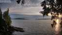 ./images/koeye/fitz-hugh/20250807/fitz-hugh20250807_203009M.jpg