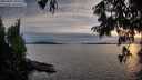 ./images/koeye/fitz-hugh/20250807/fitz-hugh20250807_203509M.jpg