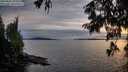 ./images/koeye/fitz-hugh/20250807/fitz-hugh20250807_204010M.jpg