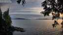 ./images/koeye/fitz-hugh/20250807/fitz-hugh20250807_204509M.jpg