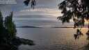 ./images/koeye/fitz-hugh/20250807/fitz-hugh20250807_205009M.jpg