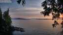 ./images/koeye/fitz-hugh/20250807/fitz-hugh20250807_210508M.jpg