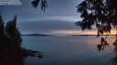 ./images/koeye/fitz-hugh/20250807/fitz-hugh20250807_214509M.jpg