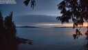 ./images/koeye/fitz-hugh/20250807/fitz-hugh20250807_215009M.jpg