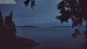 ./images/koeye/fitz-hugh/20250808/fitz-hugh20250808_052509M.jpg