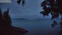./images/koeye/fitz-hugh/20250808/fitz-hugh20250808_053009M.jpg