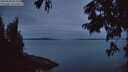 ./images/koeye/fitz-hugh/20250808/fitz-hugh20250808_053508M.jpg