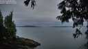 ./images/koeye/fitz-hugh/20250808/fitz-hugh20250808_055009M.jpg