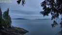 ./images/koeye/fitz-hugh/20250808/fitz-hugh20250808_060508M.jpg