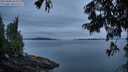 ./images/koeye/fitz-hugh/20250808/fitz-hugh20250808_061010M.jpg