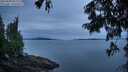 ./images/koeye/fitz-hugh/20250808/fitz-hugh20250808_061507M.jpg