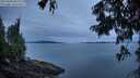 ./images/koeye/fitz-hugh/20250808/fitz-hugh20250808_062011M.jpg
