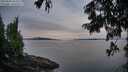 ./images/koeye/fitz-hugh/20250808/fitz-hugh20250808_063509M.jpg