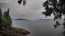 ./images/koeye/fitz-hugh/20250808/fitz-hugh20250808_071510M.jpg