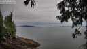 ./images/koeye/fitz-hugh/20250808/fitz-hugh20250808_072510M.jpg