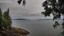 ./images/koeye/fitz-hugh/20250808/fitz-hugh20250808_074510M.jpg
