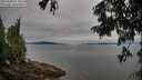 ./images/koeye/fitz-hugh/20250808/fitz-hugh20250808_075011M.jpg