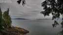 ./images/koeye/fitz-hugh/20250808/fitz-hugh20250808_082510M.jpg