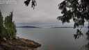 ./images/koeye/fitz-hugh/20250808/fitz-hugh20250808_083510M.jpg