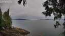 ./images/koeye/fitz-hugh/20250808/fitz-hugh20250808_084010M.jpg