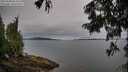 ./images/koeye/fitz-hugh/20250808/fitz-hugh20250808_084510M.jpg