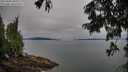./images/koeye/fitz-hugh/20250808/fitz-hugh20250808_091009M.jpg