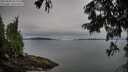 ./images/koeye/fitz-hugh/20250808/fitz-hugh20250808_093012M.jpg