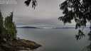 ./images/koeye/fitz-hugh/20250808/fitz-hugh20250808_093510M.jpg