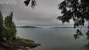 ./images/koeye/fitz-hugh/20250808/fitz-hugh20250808_094009M.jpg