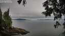 ./images/koeye/fitz-hugh/20250808/fitz-hugh20250808_094510M.jpg