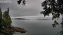 ./images/koeye/fitz-hugh/20250808/fitz-hugh20250808_102007M.jpg