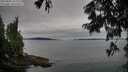 ./images/koeye/fitz-hugh/20250808/fitz-hugh20250808_103009M.jpg