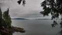./images/koeye/fitz-hugh/20250808/fitz-hugh20250808_103509M.jpg