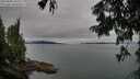 ./images/koeye/fitz-hugh/20250808/fitz-hugh20250808_104009M.jpg