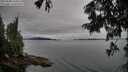 ./images/koeye/fitz-hugh/20250808/fitz-hugh20250808_104511M.jpg