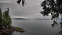 ./images/koeye/fitz-hugh/20250808/fitz-hugh20250808_105004M.jpg