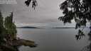 ./images/koeye/fitz-hugh/20250808/fitz-hugh20250808_105508M.jpg