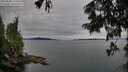 ./images/koeye/fitz-hugh/20250808/fitz-hugh20250808_114511M.jpg