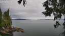 ./images/koeye/fitz-hugh/20250808/fitz-hugh20250808_115510M.jpg