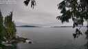 ./images/koeye/fitz-hugh/20250808/fitz-hugh20250808_122508M.jpg
