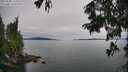 ./images/koeye/fitz-hugh/20250808/fitz-hugh20250808_124012M.jpg