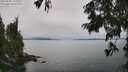 ./images/koeye/fitz-hugh/20250808/fitz-hugh20250808_132511M.jpg